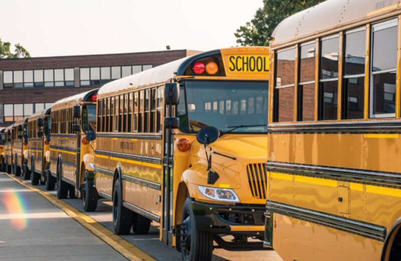 10 Facts About the Yellow School Bus