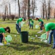 7 Smart Garden Waste Collection Tips for Green Recycling