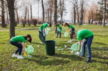 7 Smart Garden Waste Collection Tips for Green Recycling