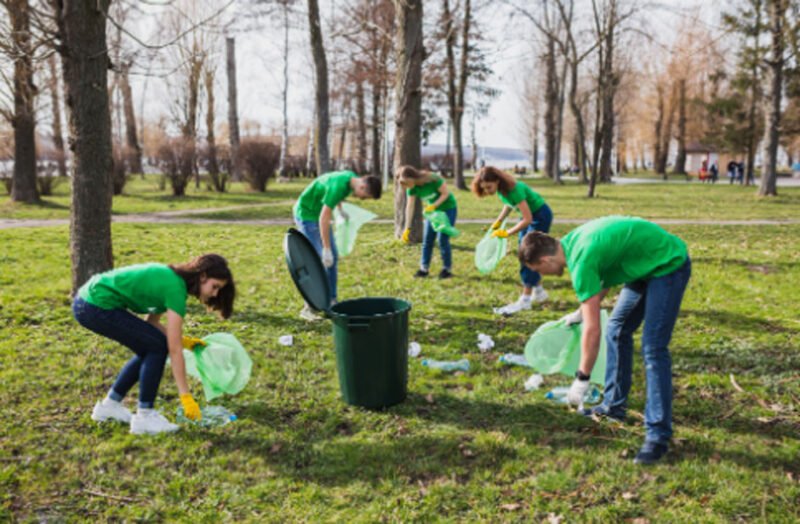 7 Smart Garden Waste Collection Tips for Green Recycling