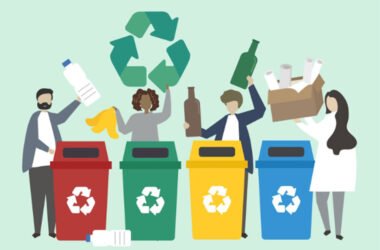 Commercial Waste Recycling