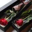 How to Arrange Single Roses in a Box? A Step-by-Step Guide