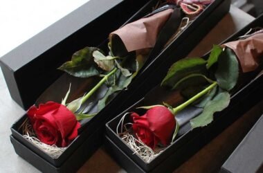 How to Arrange Single Roses in a Box? A Step-by-Step Guide