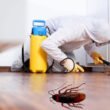 Proven Ways Pest Pros Block Ants And Roaches In Houston