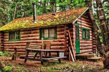 Questions To Ask About Your Log Home Repair Project