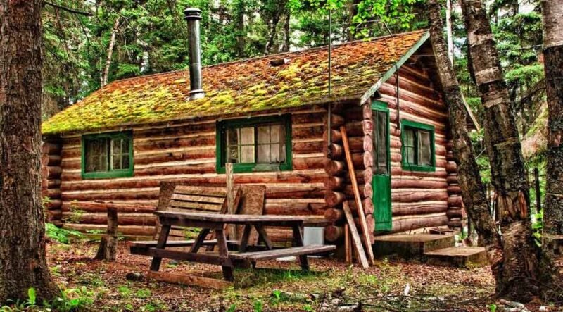 Questions To Ask About Your Log Home Repair Project