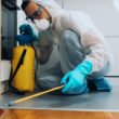 What Every Property Manager Should Know About Infestations