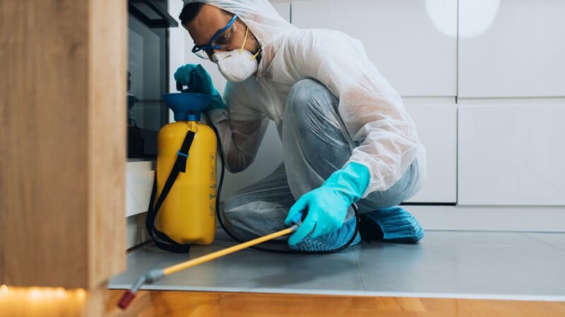 What Every Property Manager Should Know About Infestations