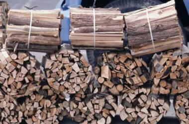 What Should You Know Before Buying Firewood for the Winter Season?