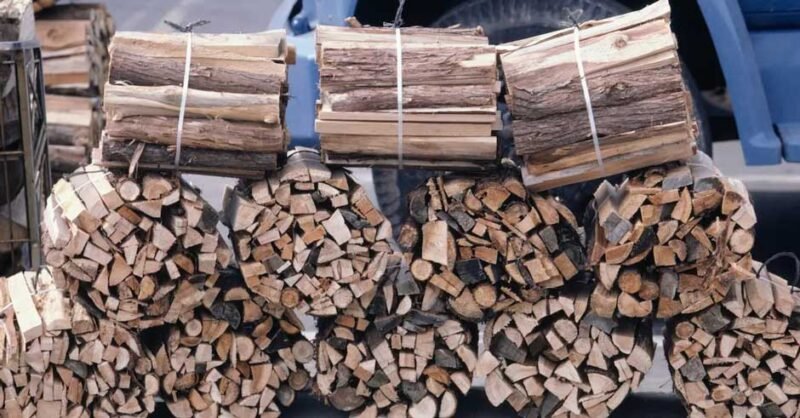 What Should You Know Before Buying Firewood for the Winter Season?