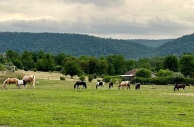 The Most Honest Review Of Mountains West Ranches 2025