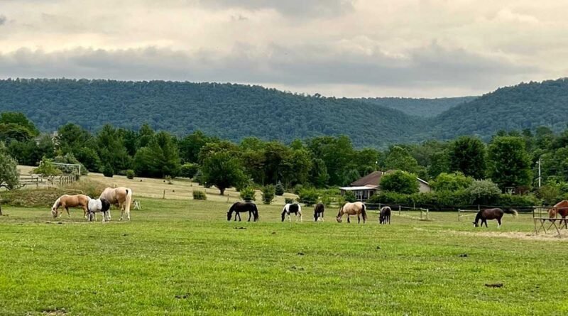 The Most Honest Review Of Mountains West Ranches 2025