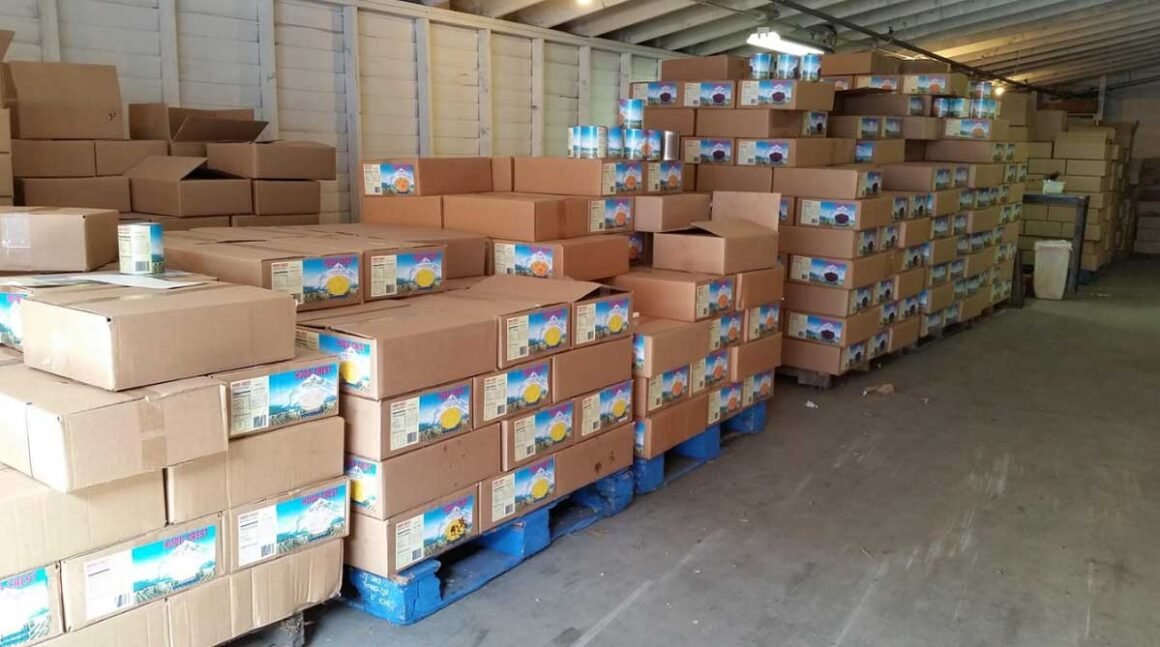 The Overlooked Link Between Food Storage and Backup Power at Home