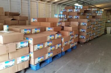 The Overlooked Link Between Food Storage and Backup Power at Home